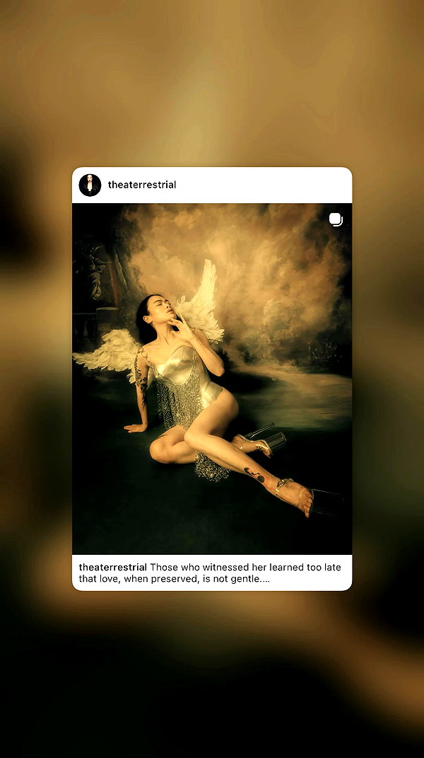 theaterrestrial archive video preview