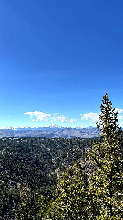 thelizzyporter thelizzyporter archive video