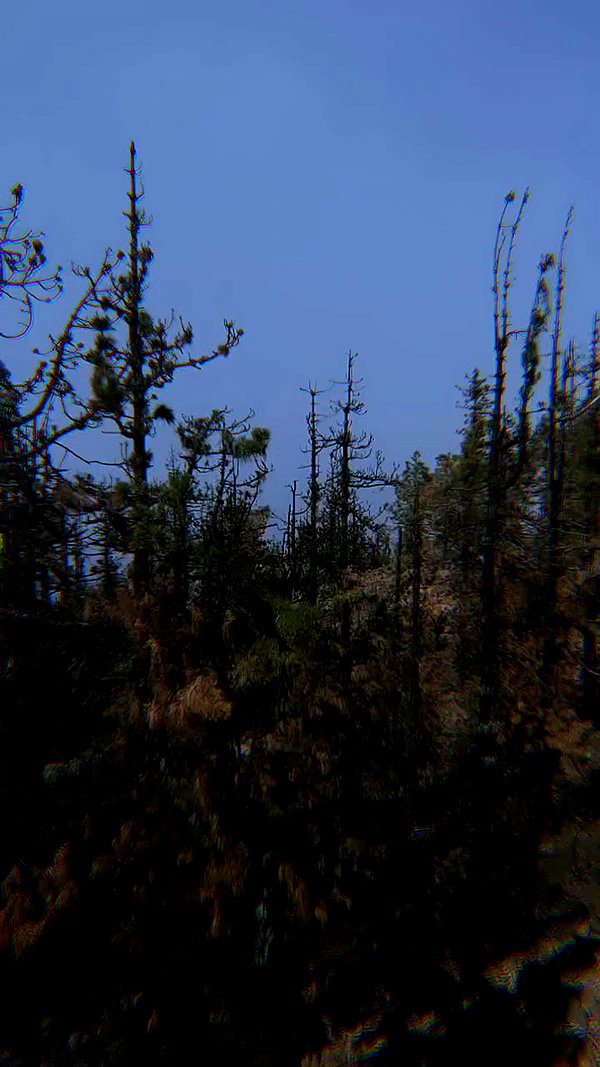 _broock_ archive video preview