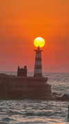 ___shachar Altpins Profile Picture