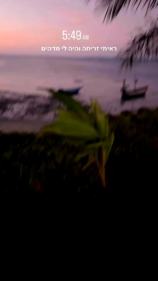 talya.fridland archive video preview