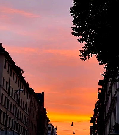 taylor.creeden taylor.creeden archive video