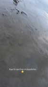 krmndz05 Altpins Profile Picture
