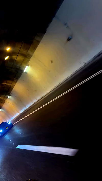 simp_for_cats_ simp_for_cats_ archive video