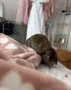 danielle.mercedie Altpins Profile Picture