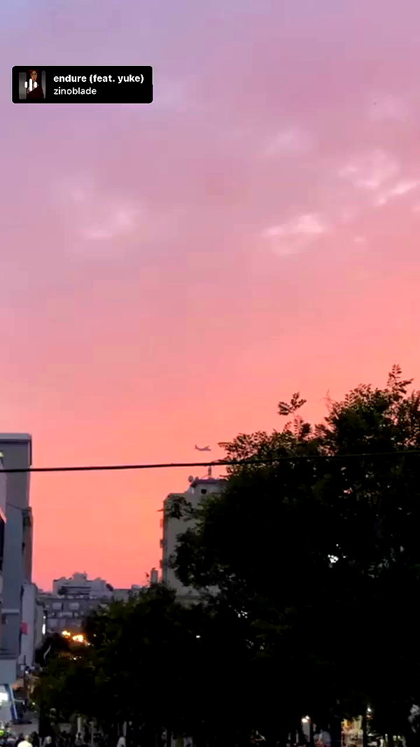 _.shelichka._ archive video preview