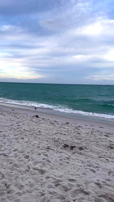 taylor.creeden taylor.creeden archive video