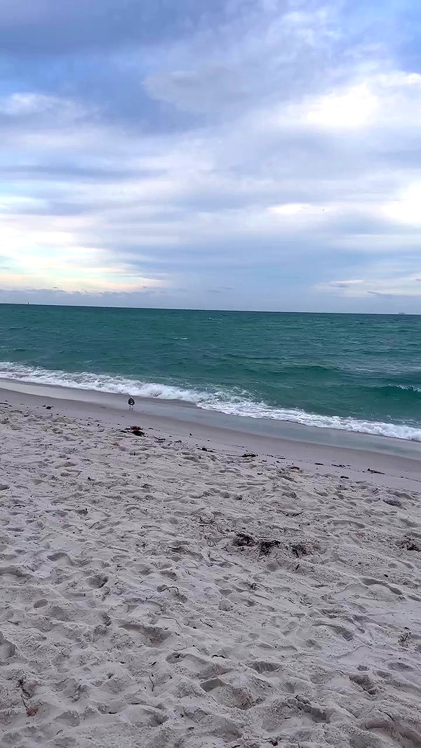 taylor.creeden archive video preview