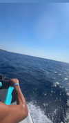 lian.ayallon Altpins Profile Picture