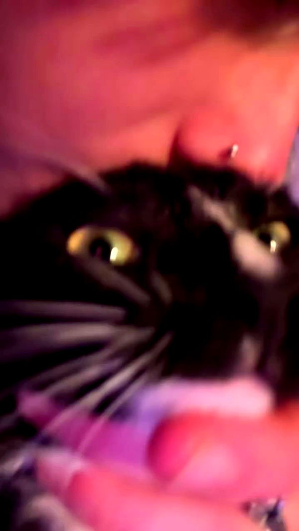 6nattynat9 archive video preview