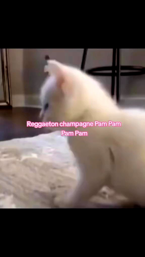babynympho_archive archive video preview