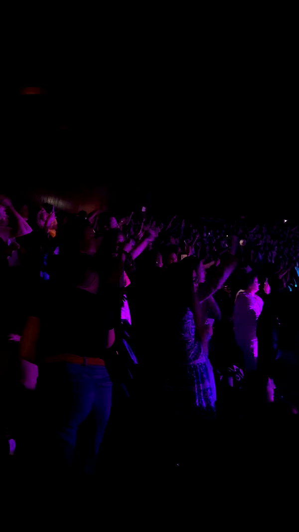 _allvi.pansk archive video preview