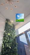 ambrzinha666 Altpins Profile Picture