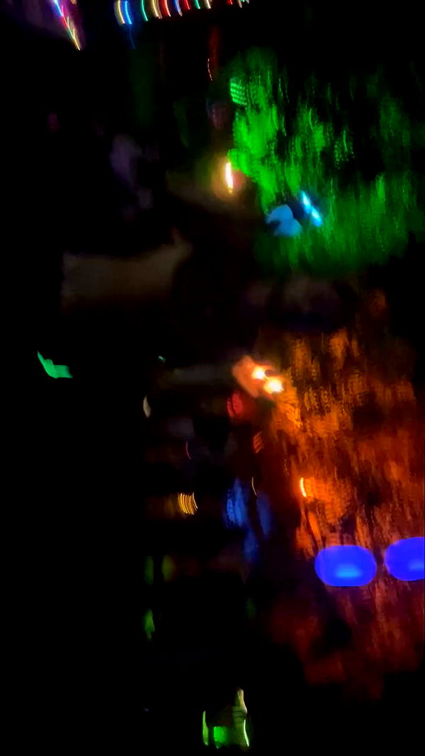 elia.shinar archive video preview