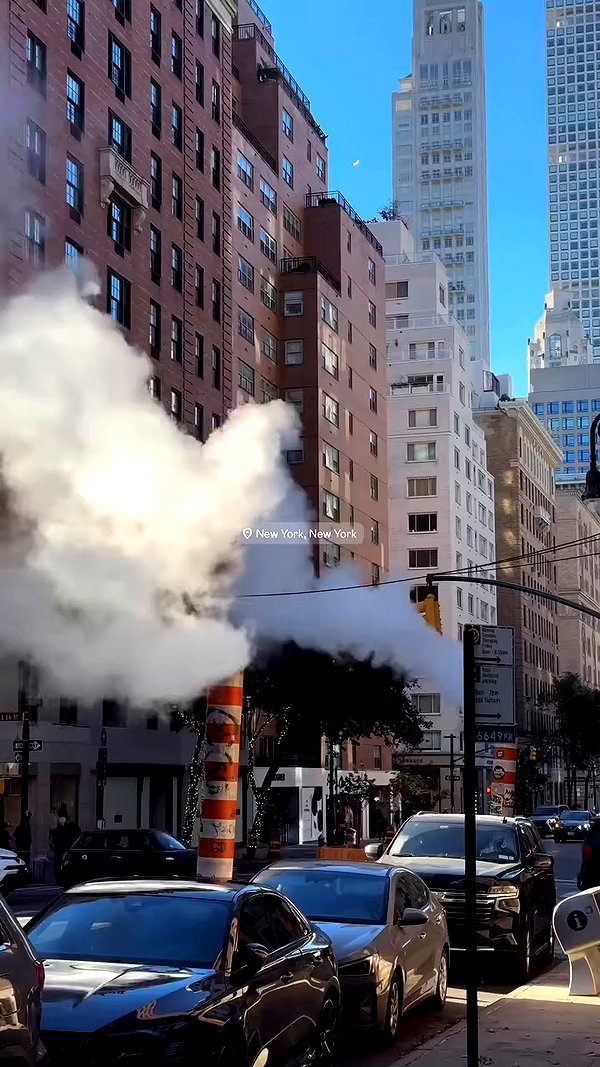 madisonwoolley archive video preview