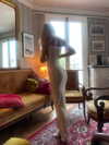 elizabethcampbelljones Altpins Profile Picture