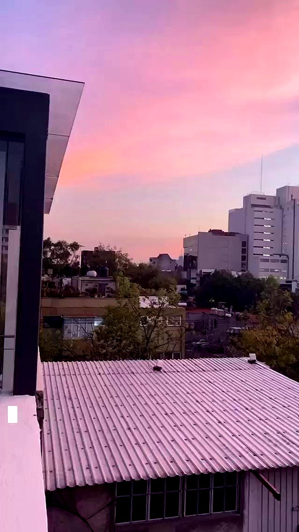 taylor.creeden archive video preview