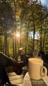 rouxroux.tv Altpins Profile Picture