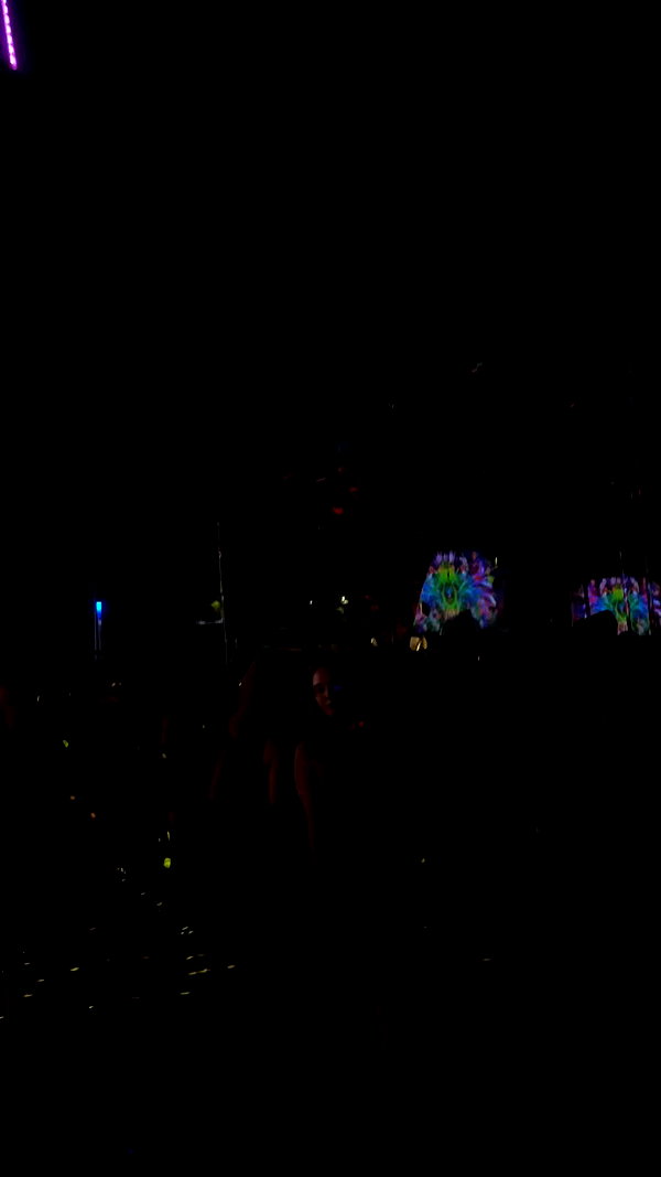 _.shelichka._ archive video preview