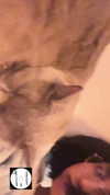 romxcohen Altpins Profile Picture