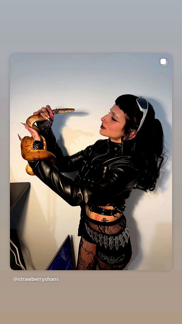 strawberryshanz archive video preview