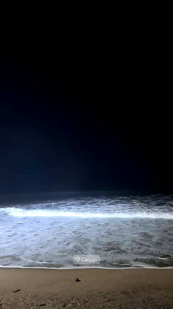 milikoxy archive video preview