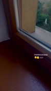 ilana.21 Altpins Profile Picture