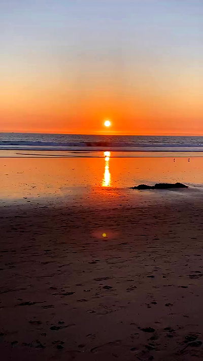 taylor.creeden taylor.creeden archive video