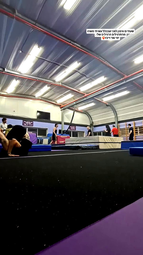 shayli_or archive video preview