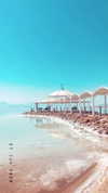 sonia_litvanchuk Altpins Profile Picture