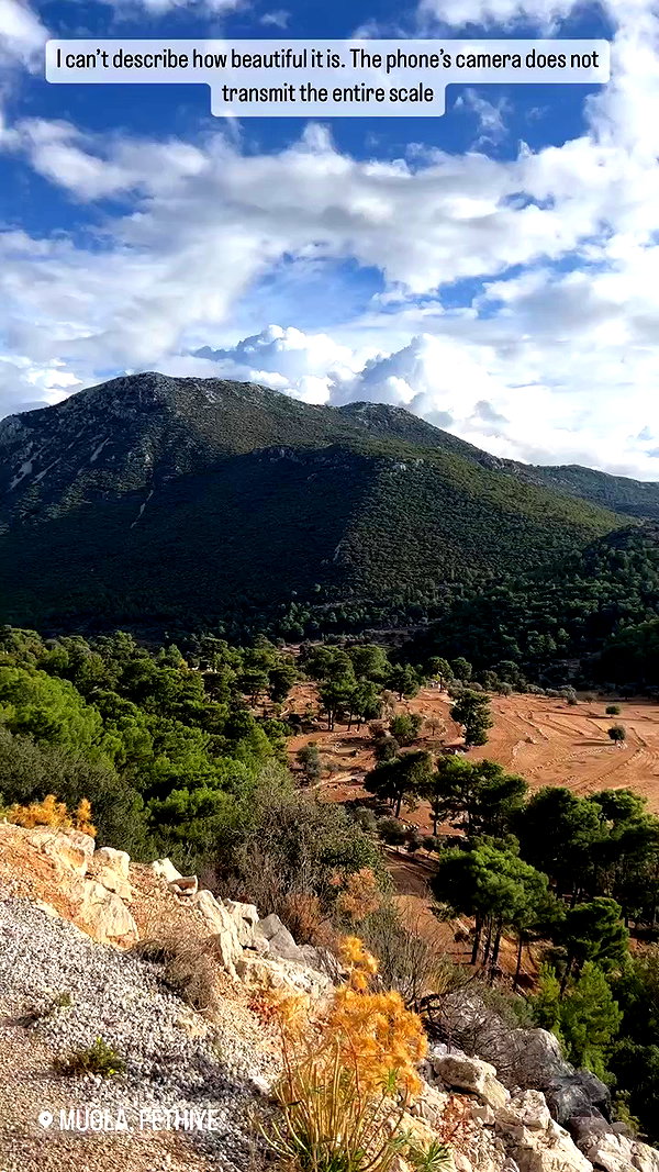 swfx_real archive video preview