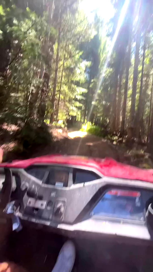 elsgatti archive video preview