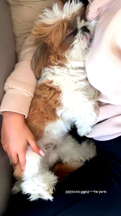 noammalka___ noammalka___ archive video