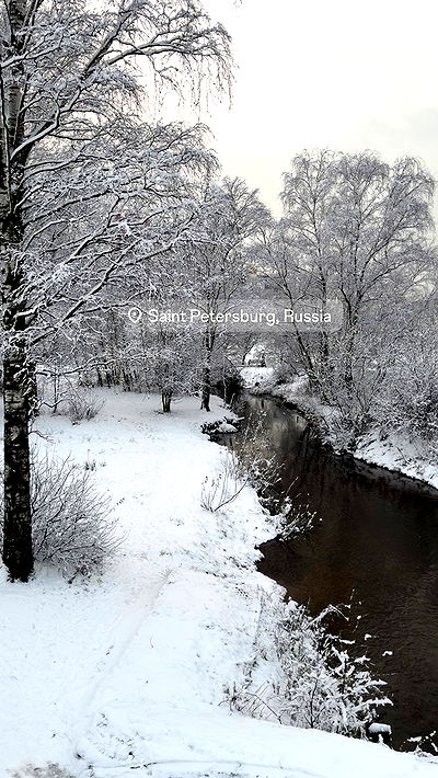 pinx_ir pinx_ir archive video