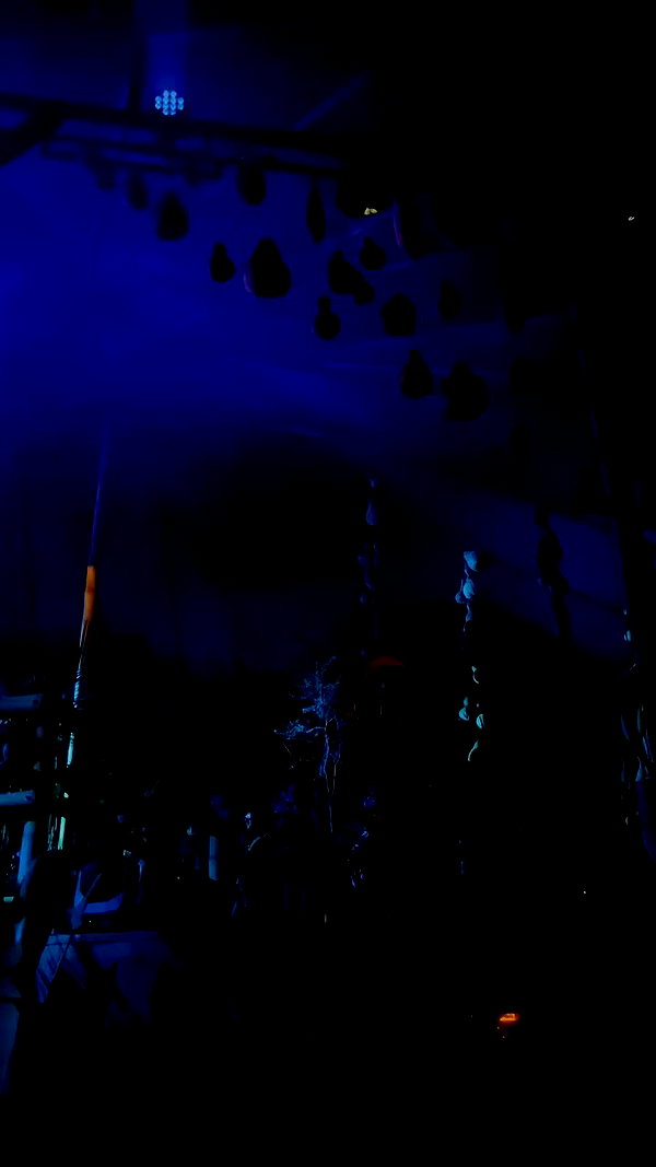 pia__kim archive video preview