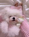 ll.lu1s Altpins Profile Picture