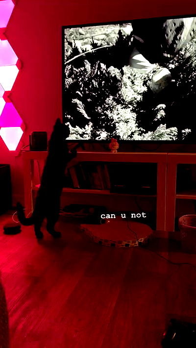 suikomuu suikomuu archive video