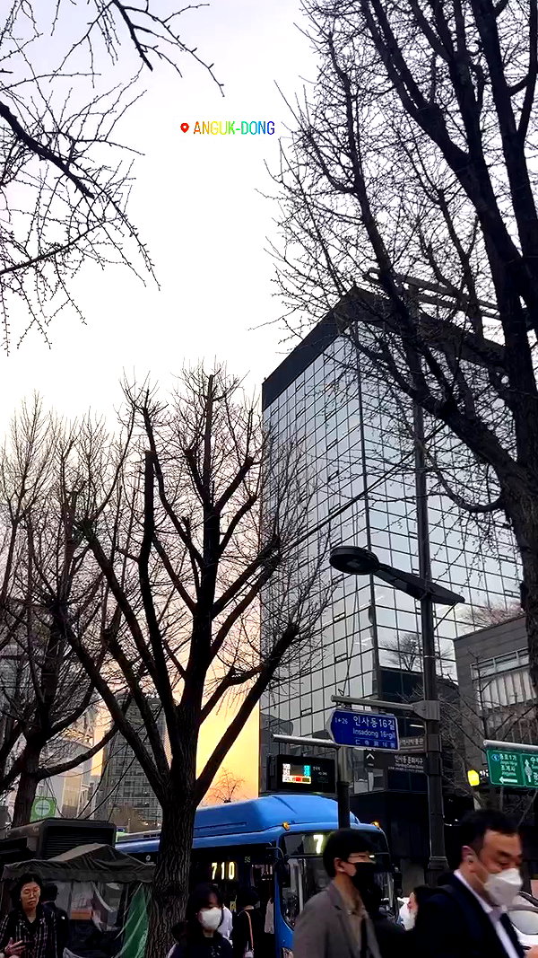 elsgatti archive video preview