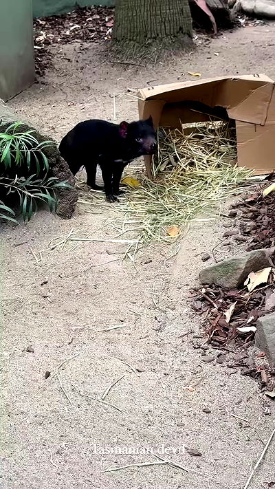 taylor.creeden taylor.creeden archive video