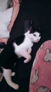 moonyyyya Altpins Profile Picture