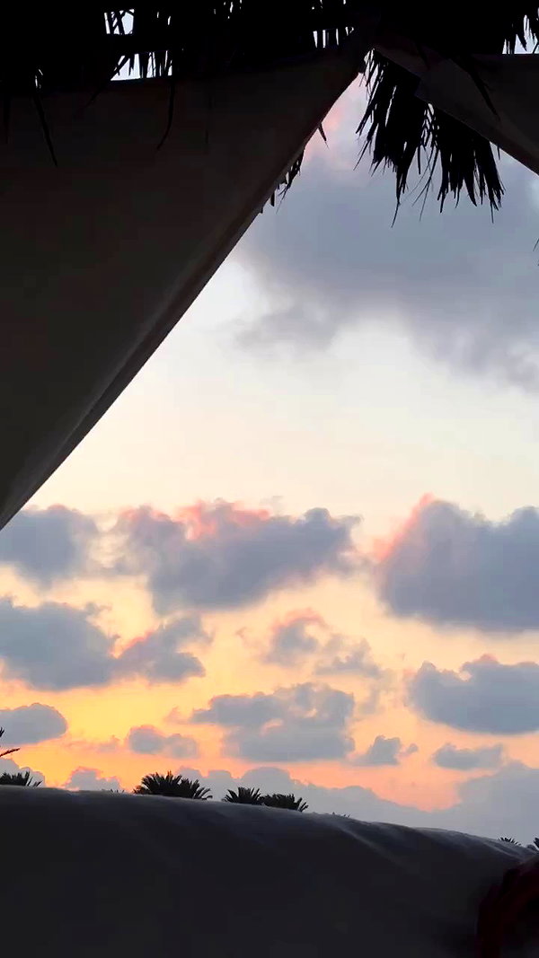 taylor.creeden archive video preview