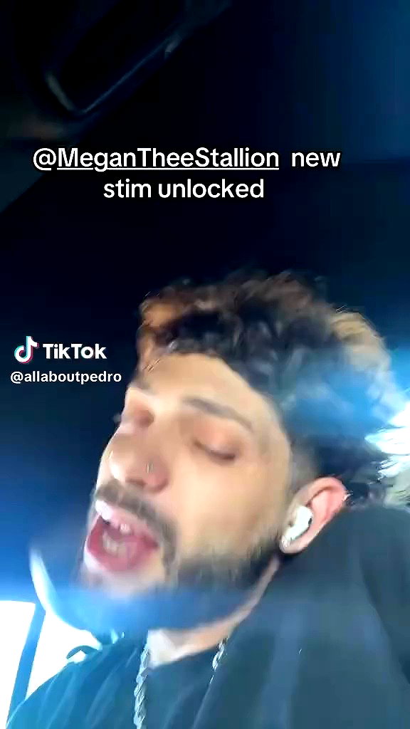 theestallion archive video preview