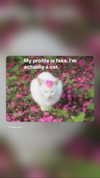 hellokittyangel666 Altpins Profile Picture