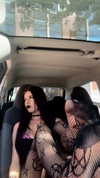 __dedgrl Altpins Profile Picture
