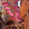 michalcohen___ Altpins Profile Picture