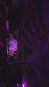 michelle__lllll Altpins Profile Picture