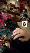 reanidays.cos Altpins Profile Picture