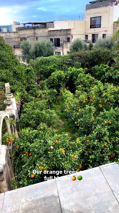 bakedsloths bakedsloths archive video