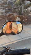 mayamarinos Altpins Profile Picture