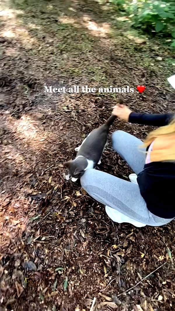 kaylasimmmons archive video preview